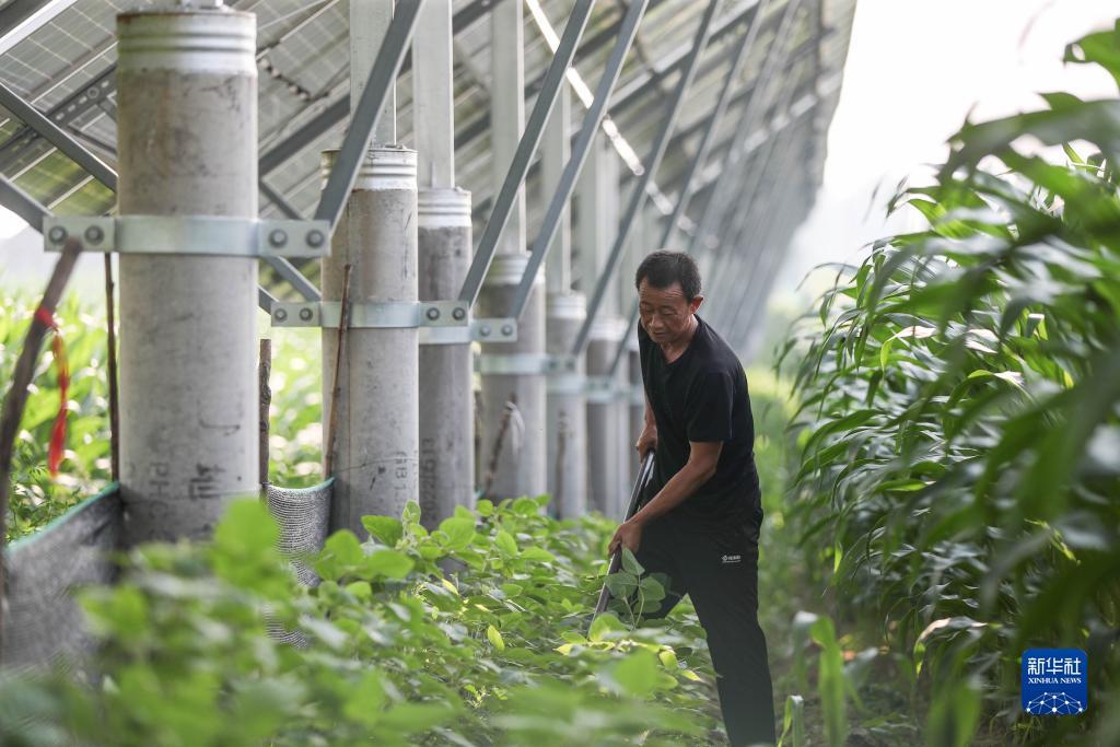 mg游戏网站登录